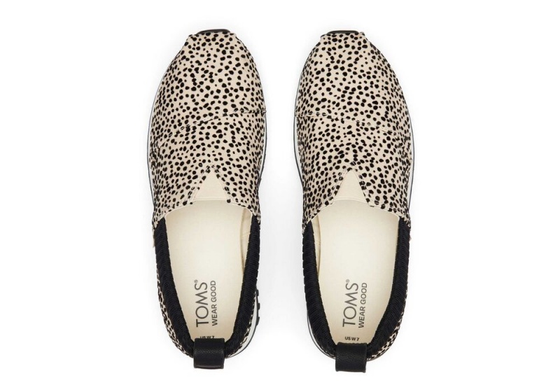 Toms Resident 2.0 Mini Cheetah Leopard | 8413MPBSD