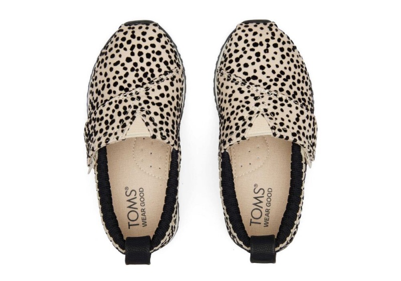 Toms Resident Mini Cheetah Toddler Leopard | 4015SFYZC