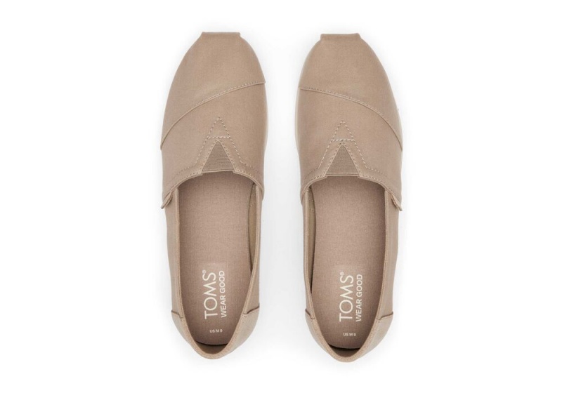 Toms Taupe Wildleder Brushed Twill Tiefesgrau | 7540DYXVR