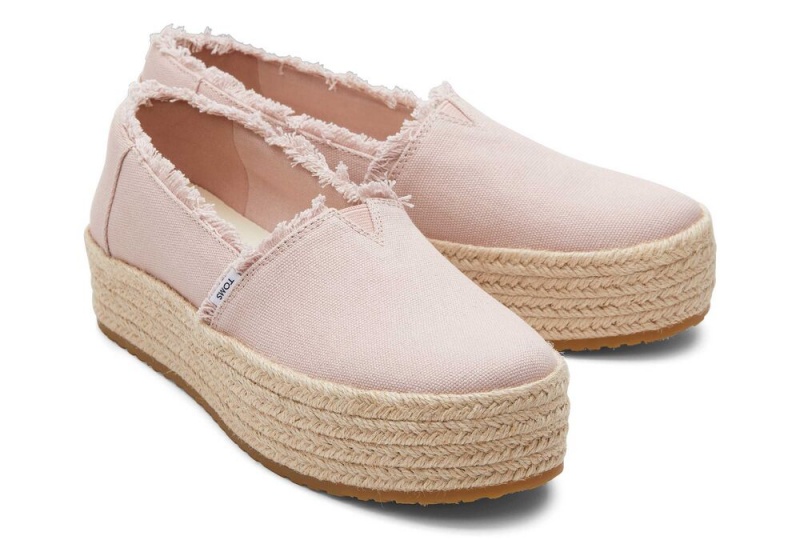 Toms Valencia Canvas Plattform Rosa | 8724IOXGA