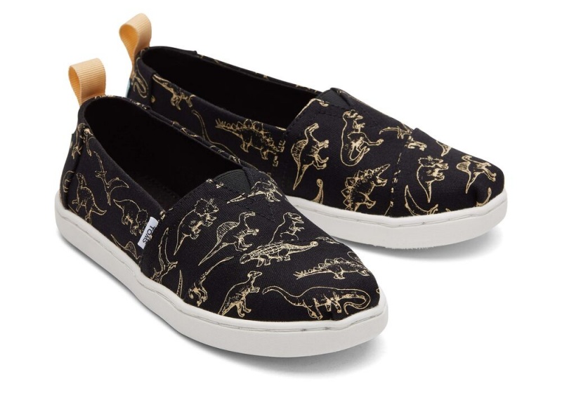 Toms Youth Dino Schwarz | 2054BDGMW