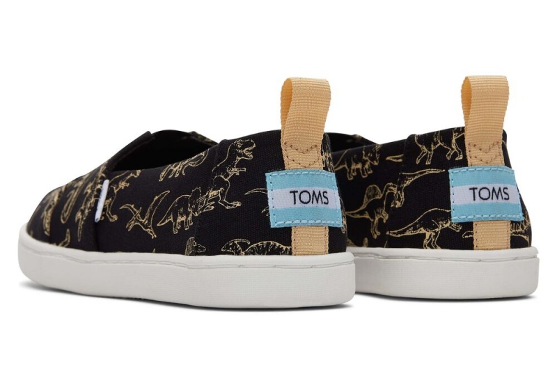 Toms Youth Dino Schwarz | 2054BDGMW