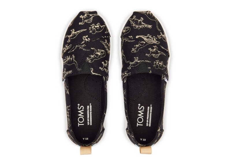 Toms Youth Dino Schwarz | 2054BDGMW