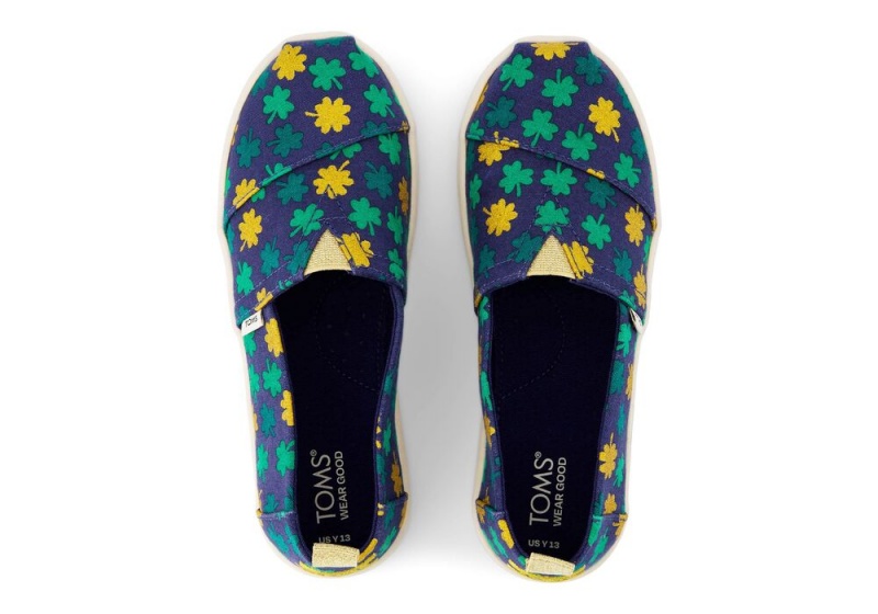 Toms Youth Lucky Shimmer Clovers Kids Shoe Blumen | 2386UMKXR