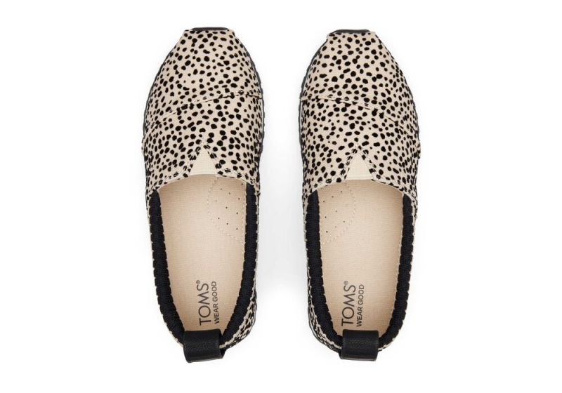 Toms Youth Resident Mini Cheetah Kids Leopard | 3614SVJOU